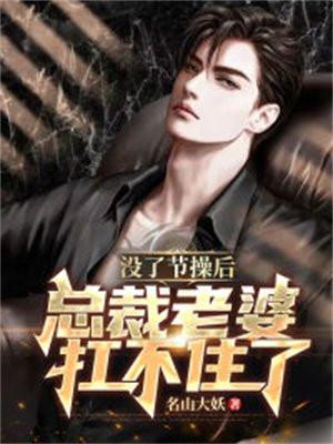 没了节操后,总裁老婆扛不住了